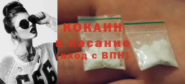 индика Медногорск