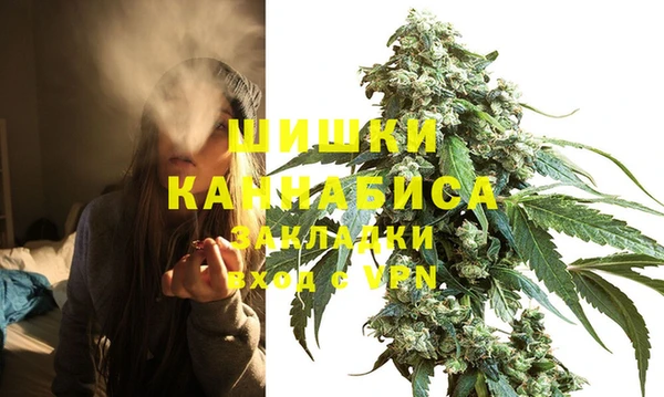 прущий лед Абаза