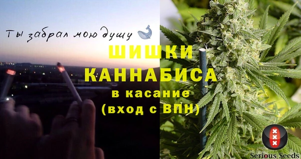 индика Медногорск