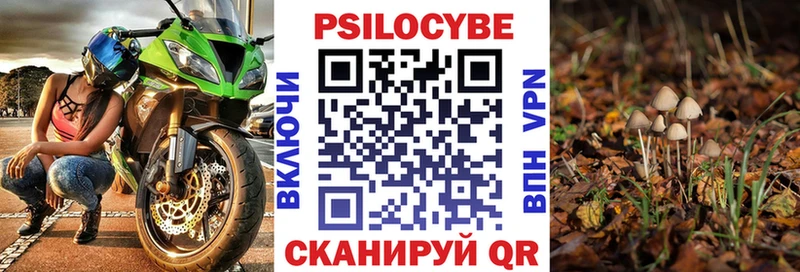 Псилоцибиновые грибы мицелий  omg ONION  Хасавюрт 