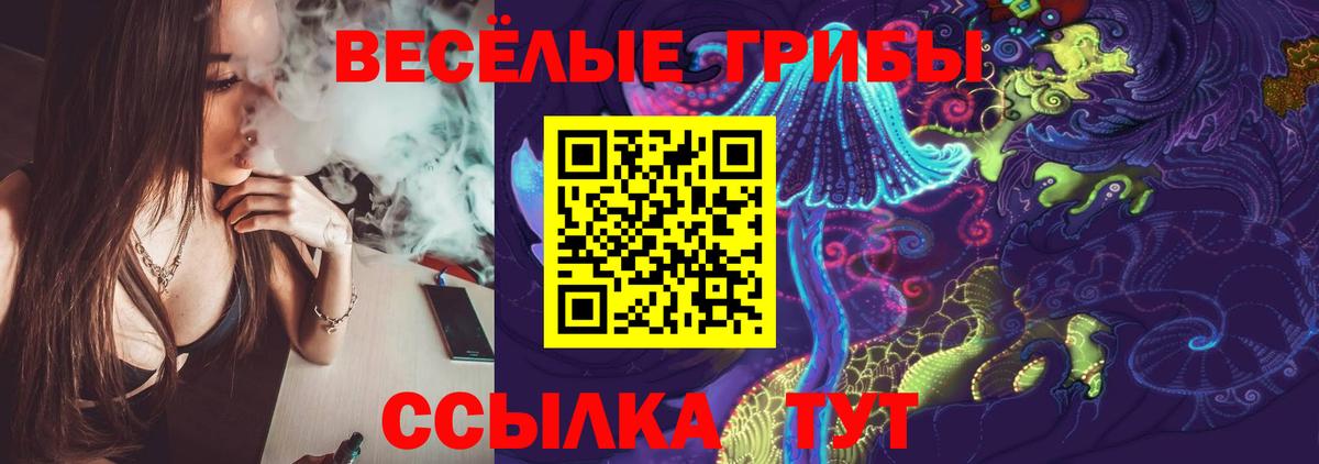 Галлюциногенные грибы MAGIC MUSHROOMS  Вход с VPN  Хасавюрт  Галлюциногенные грибы GOLDEN TEACHER 