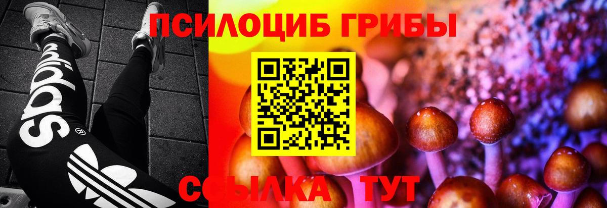Псилоцибиновые грибы прущие грибы Хасавюрт